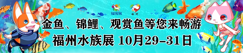 孔雀鱼的种类 这些你都知道吗_福州水族展海报