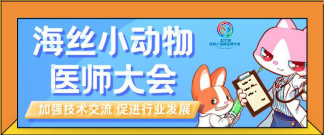 博美犬几个月可以训练