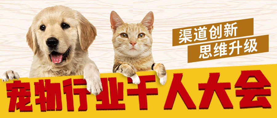 为什么要定期为猫咪驱虫 猫咪驱虫_福宠展海报
