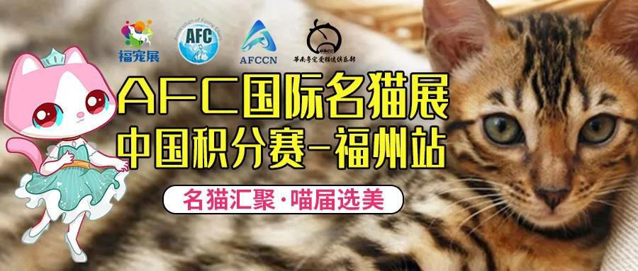 AFC国际名猫展中国积分赛