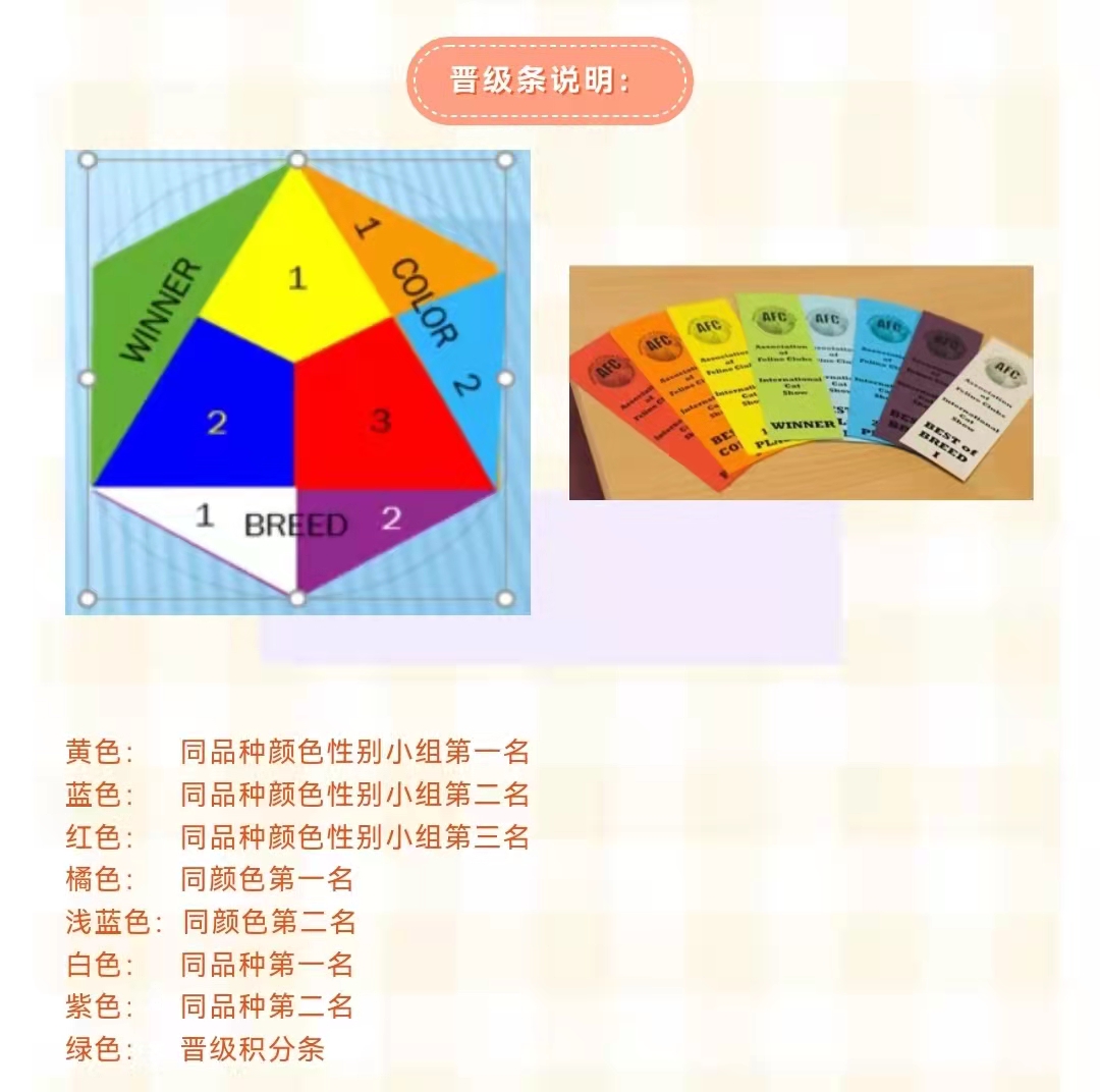 AFC国际名猫展中国积分赛_晋级条说明