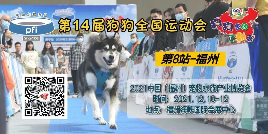 福宠展_狗狗全国运动会