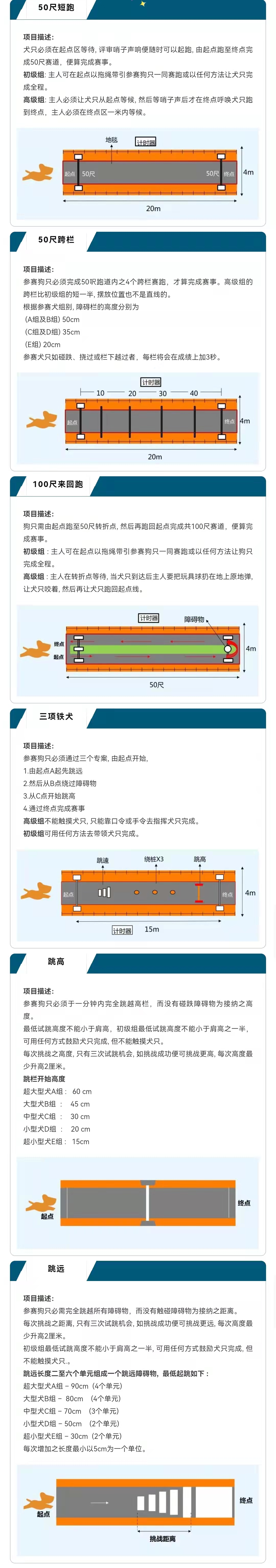 福宠展_狗狗全国运动会项目介绍