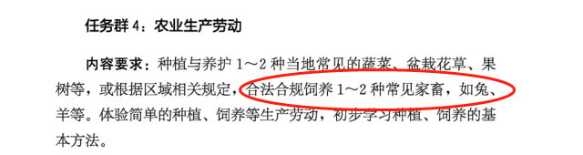 重大改革：饲养小动物、流浪动物救助，列入中小学义务教育劳动课程标准