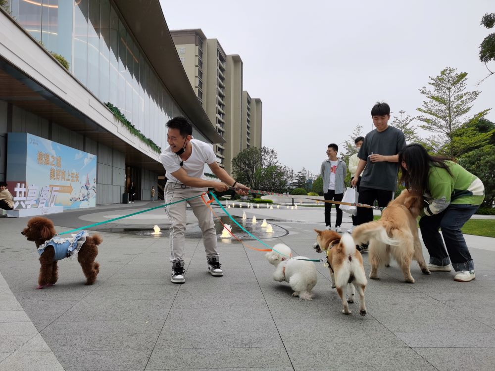 福宠展萌宠学院